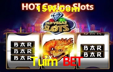 Tuim Bet Curitiba - Statistics