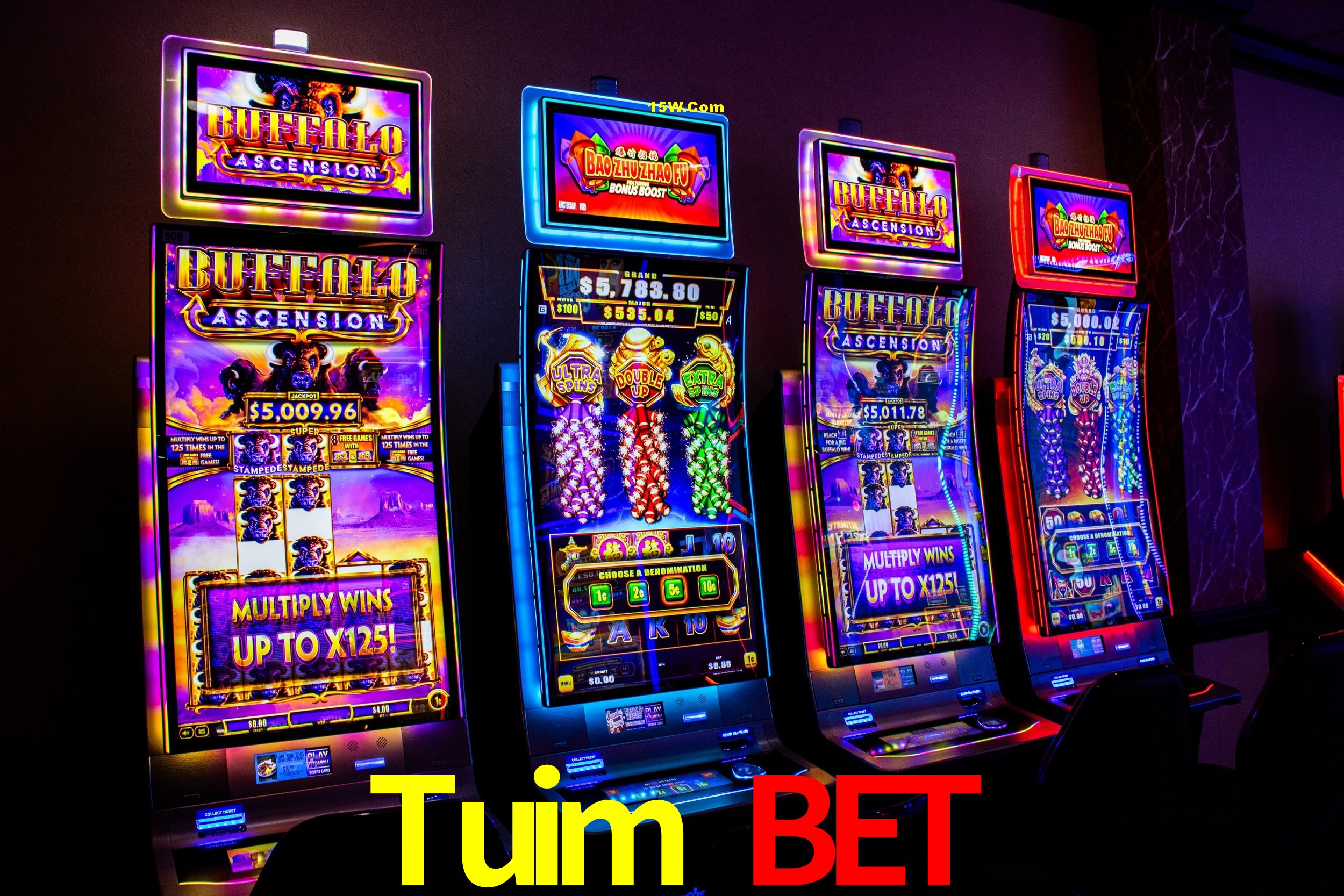 Security Systems Tuim Bet