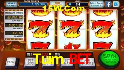 Tuim Bet - User Statistics