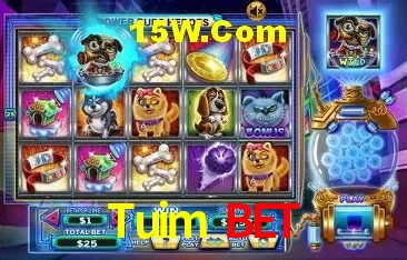 Tuim Bet Brasília - Leaderboards