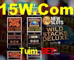 Roulette Table Tuim Bet