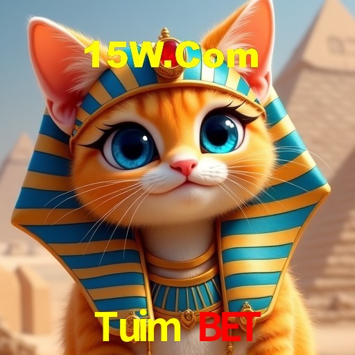 Estatísticas do Jogo Tuim Bet