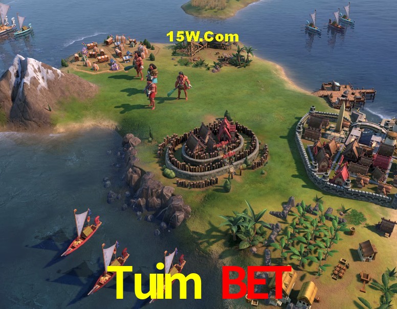 Provedores de Jogos Tuim Bet